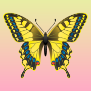 usni